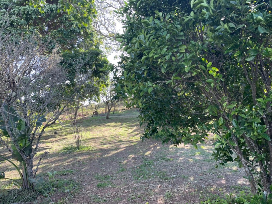 3 Bedroom Property for Sale in Bathurst Eastern Cape